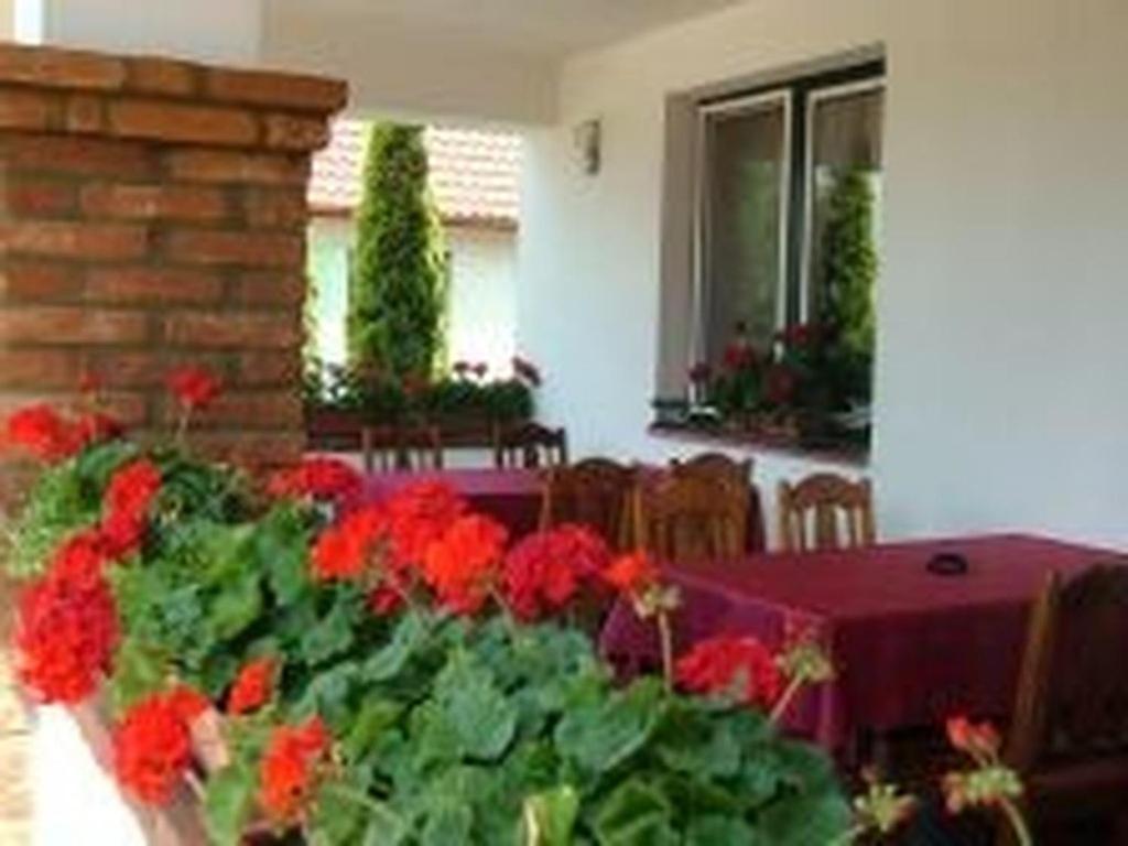 Bed and Breakfast Verba Tanya Kotaj Экстерьер фото